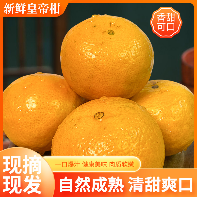 【广东省专拍10斤】皇帝柑新鲜采摘水嫩多汁现摘现发果园直发