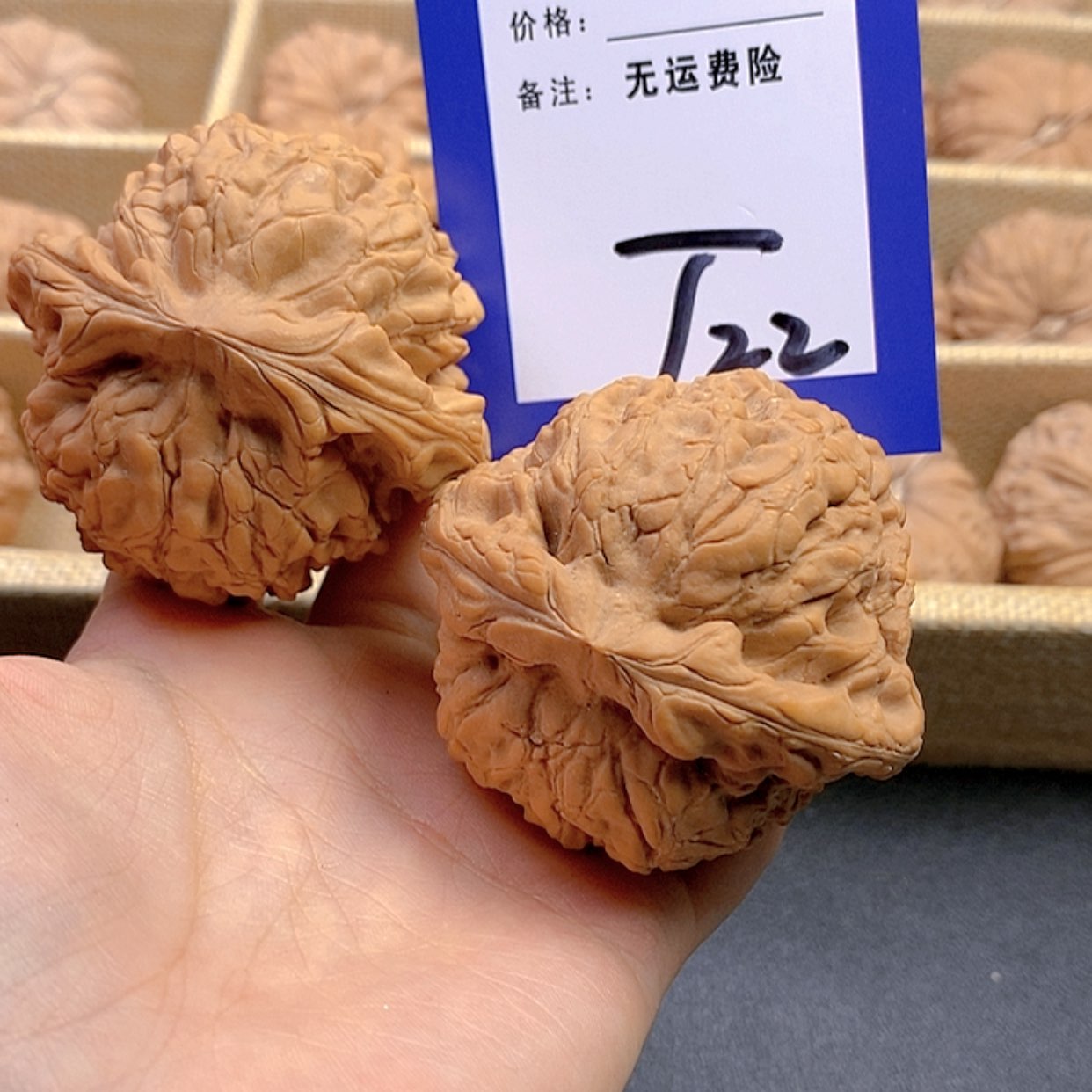【闪购商品】把件文玩核桃大***儿文玩核桃龙鼎22