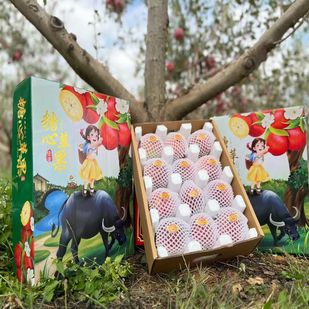 四川大凉山冰糖心丑苹果12枚礼盒装7-7.5斤