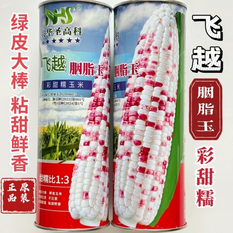 彩甜糯玉米种子飞越胭脂玉甜加糯薄皮大棒糯玉米种籽农家大田高产