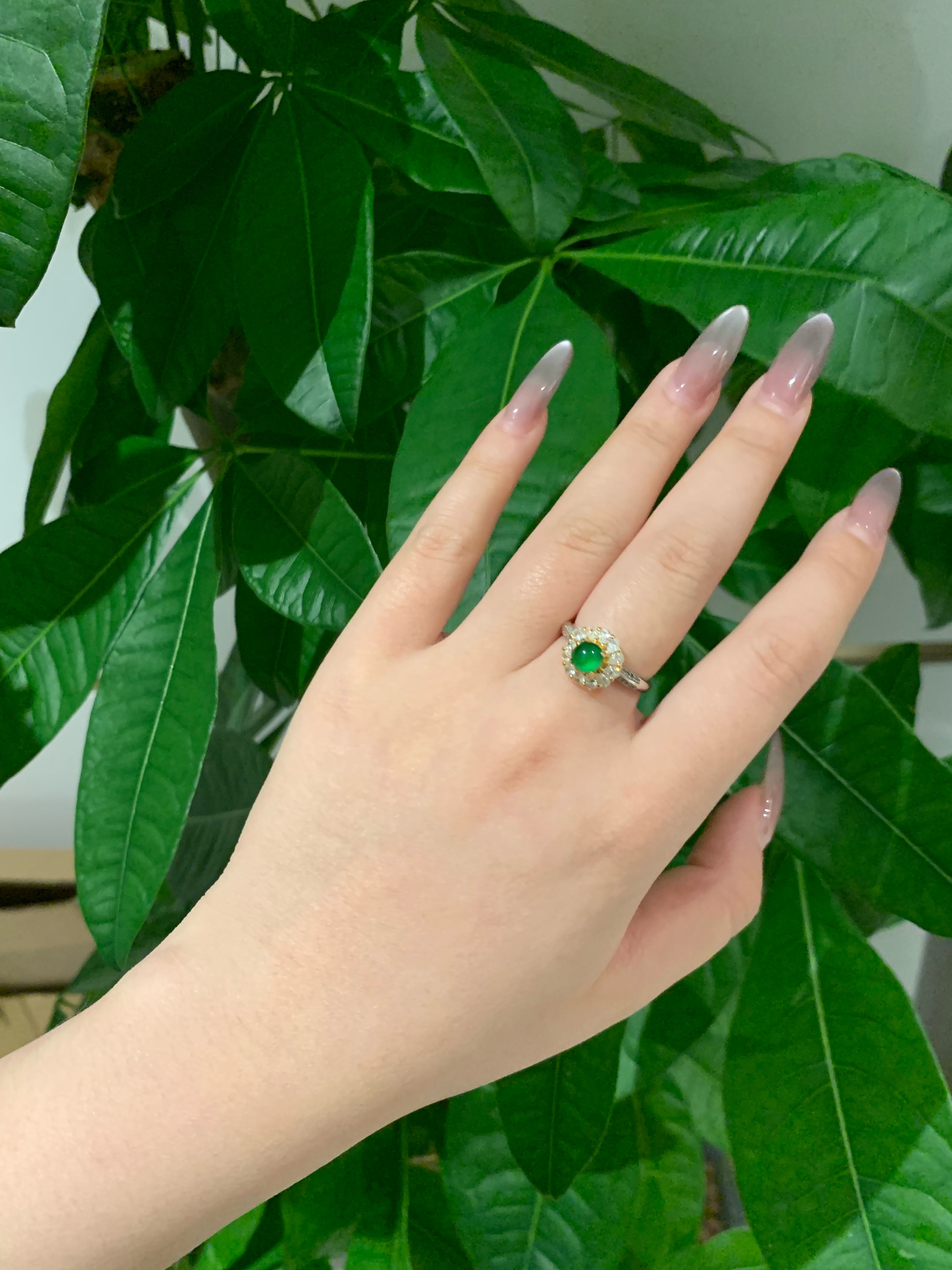 S925银镶嵌高冰蛋面天然翡翠戒指高级戒指