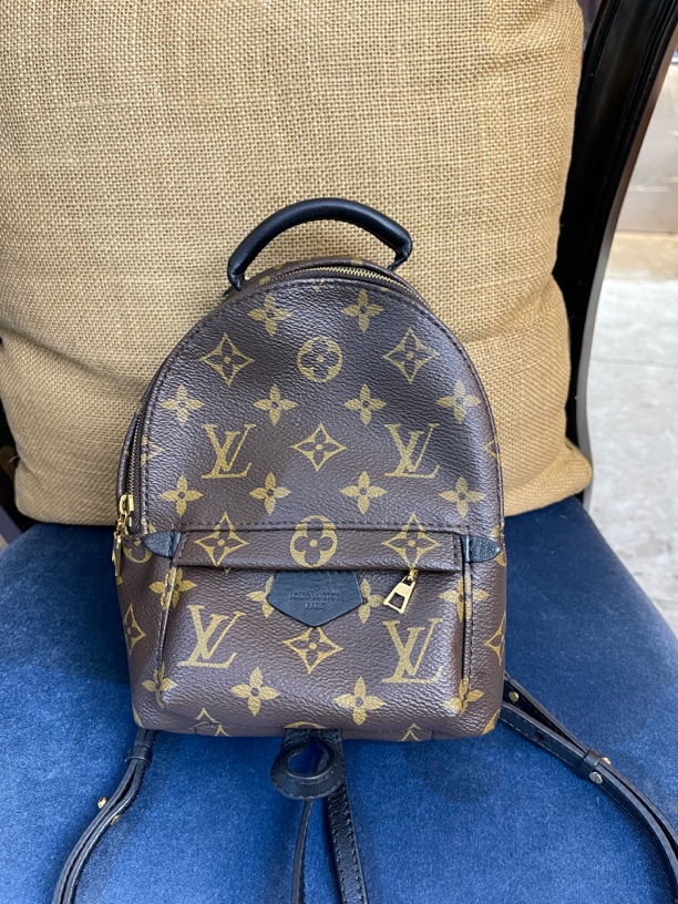 95新 LouisVuitton/路易威登 95新老花小书包芯片款