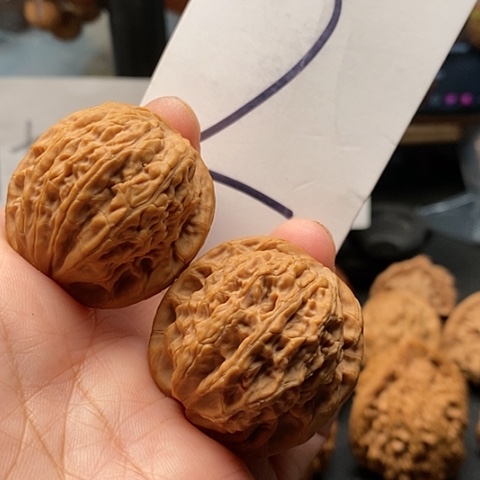 吊坠桃核35鸭蛋虎核桃