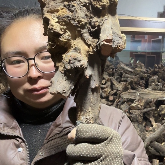 香榧木～*～火琉璃的毛料摆件