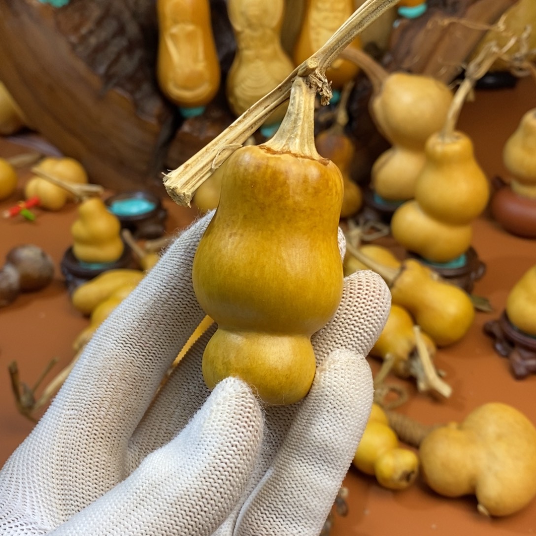 ᥫ***Y教练咯教练咯教练咯