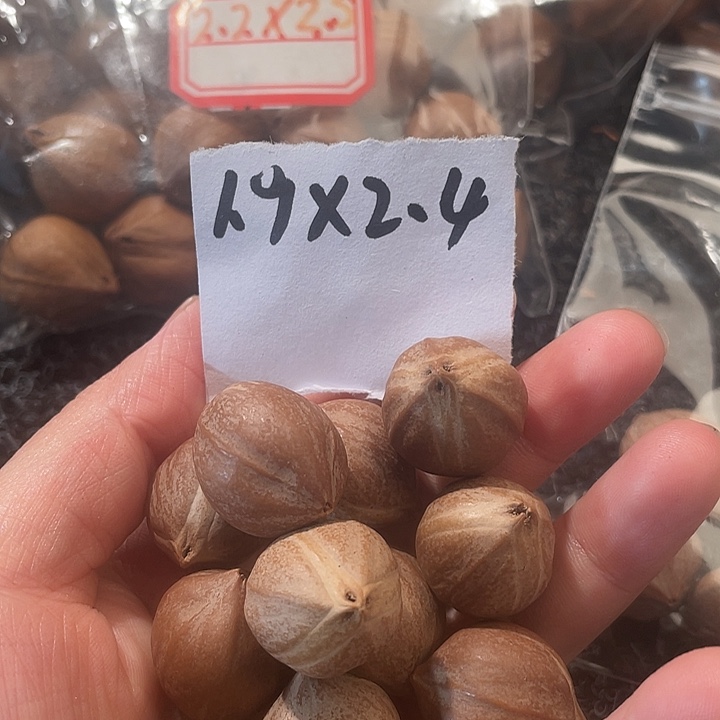 肥***羊橄榄核吊坠1.9✖️2.4