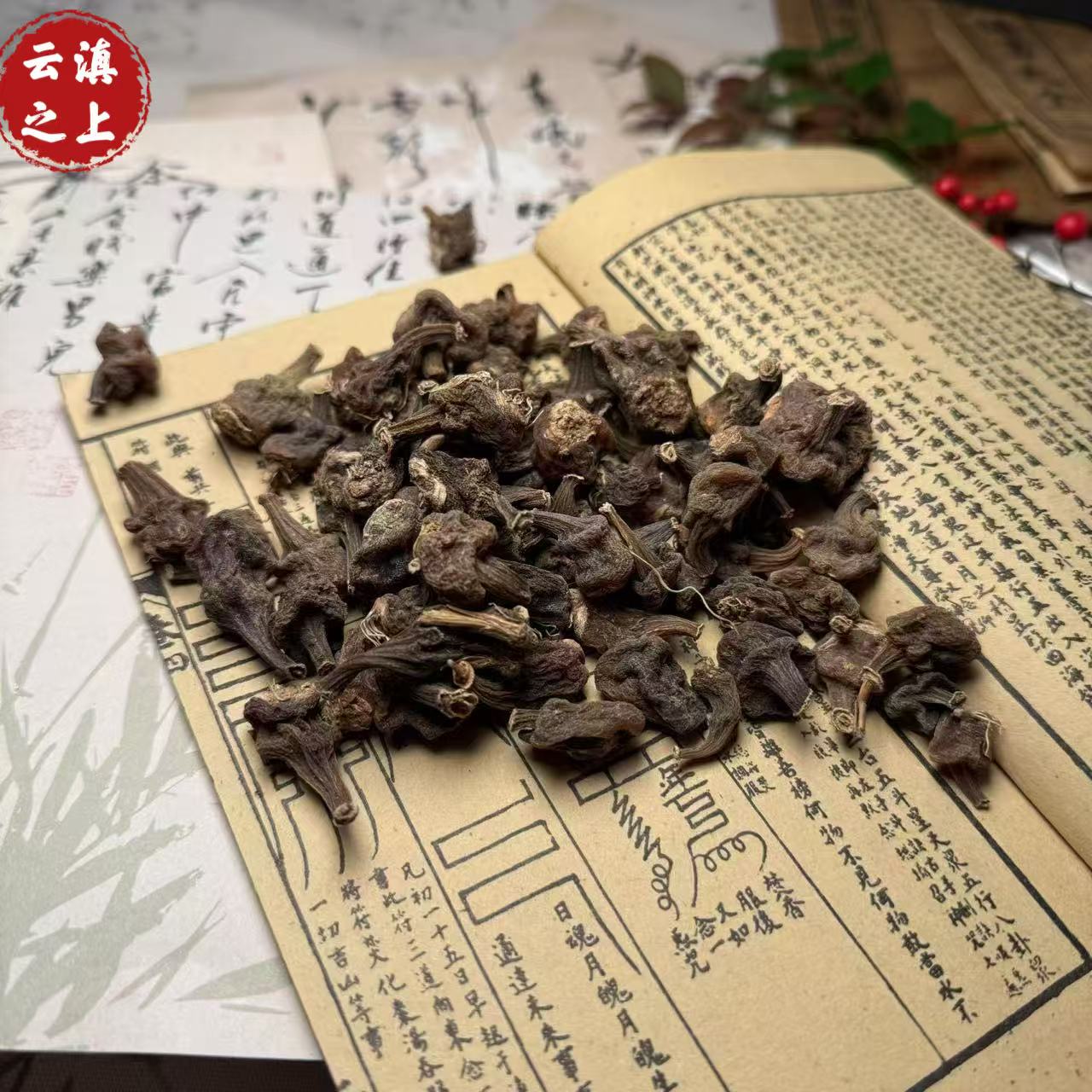 【阿豪优选】秋花独蒜兰 可自行搭配枸杞食用