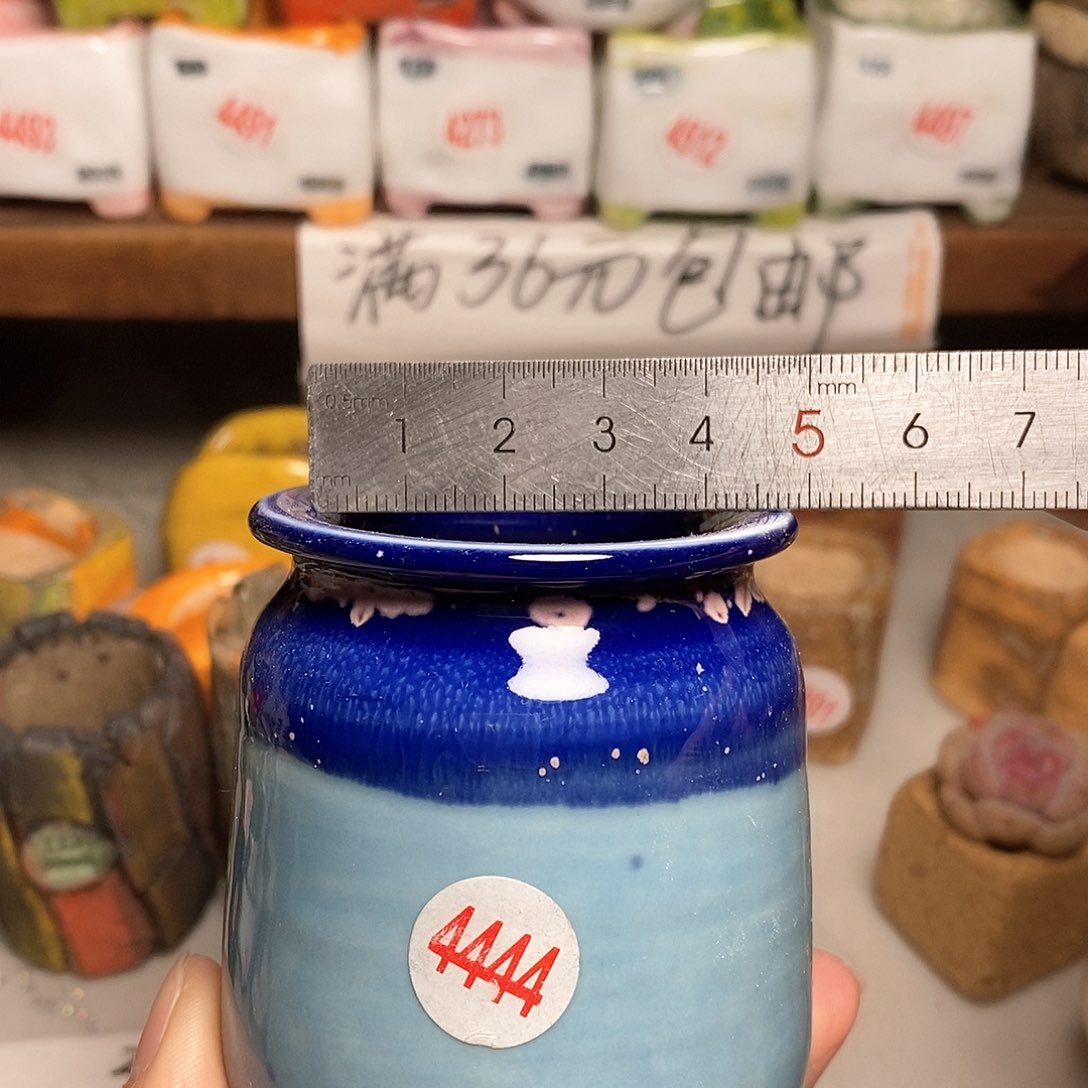 红陶拍5送一个小