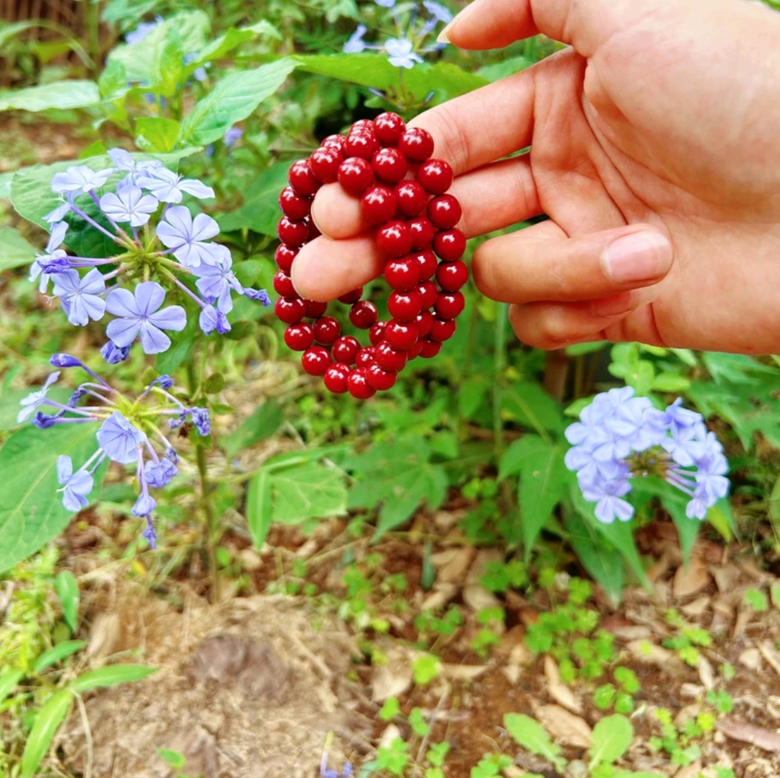 云南土特产山货临时链接米面