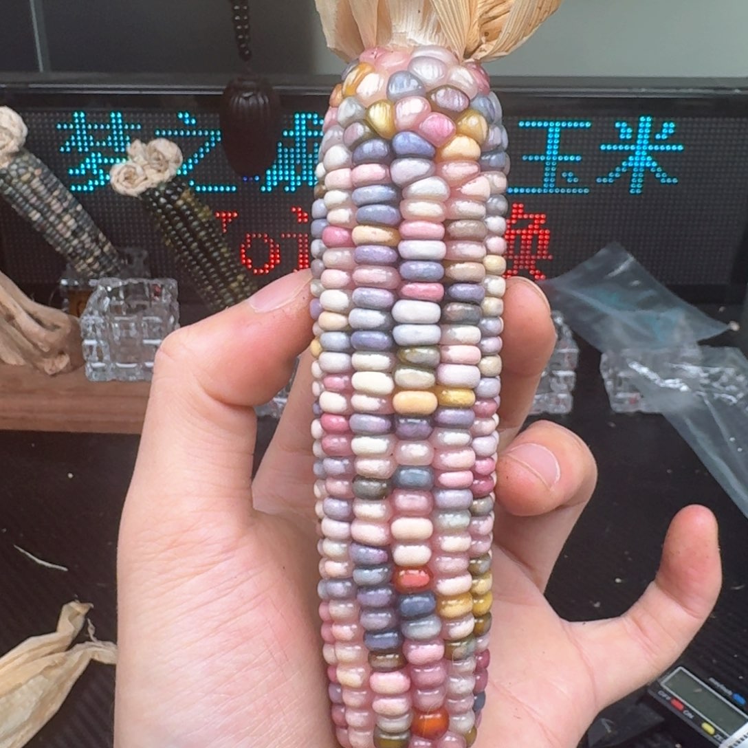 柏香籽/百香籽吊坠陆*