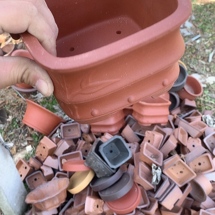 紫砂没有你喜欢吃辣不喜欢