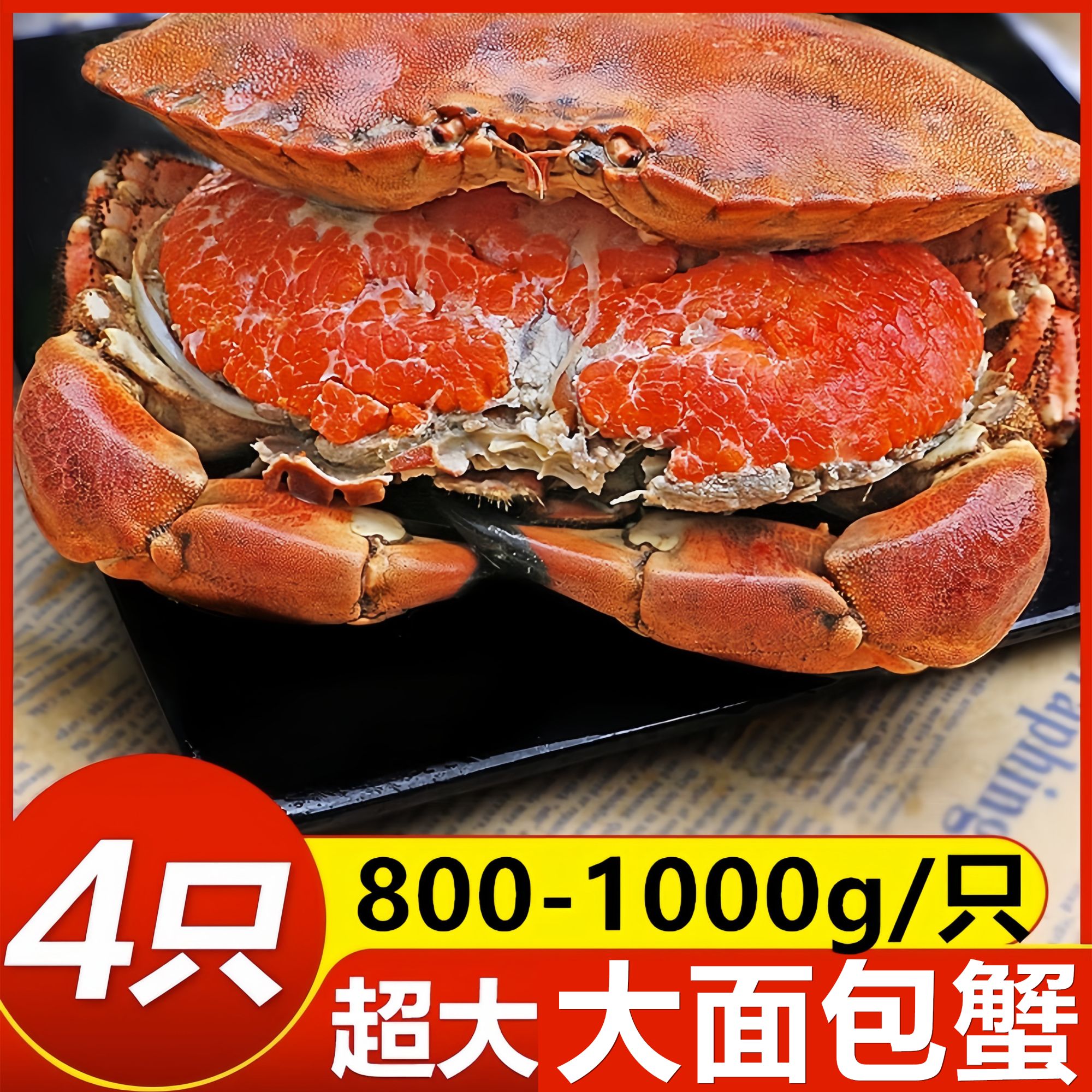新鲜大面包蟹爱尔兰进口鲜活熟冻母蟹黄满超大黄金蟹螃蟹大皇帝蟹