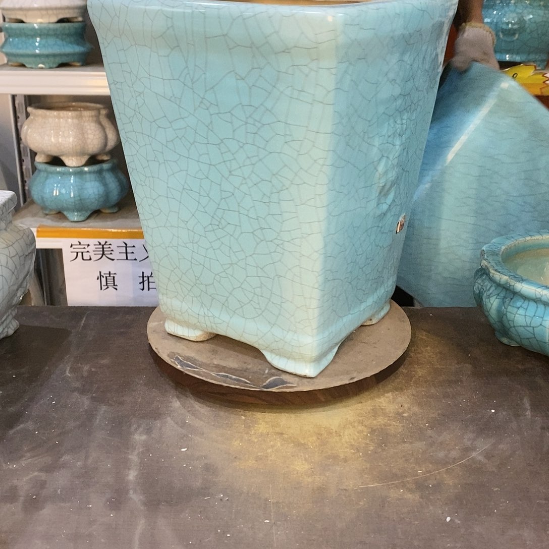 ?**?瑕疵花盆花盆里的花都开