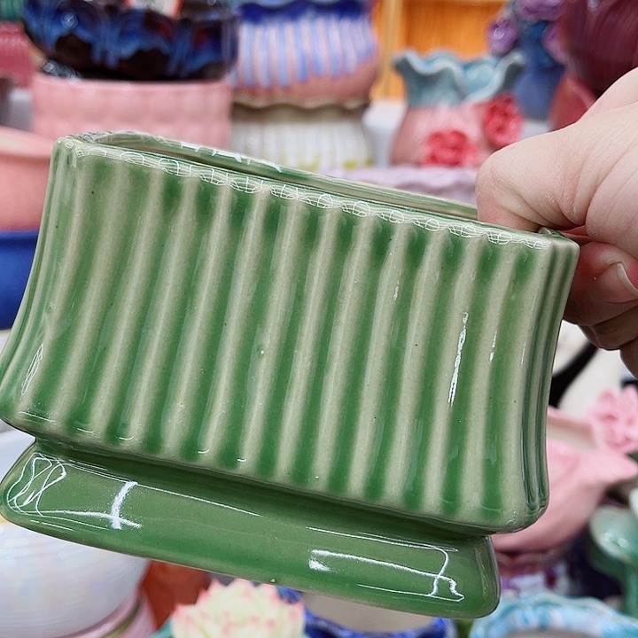 多肉植物陶瓷花盆