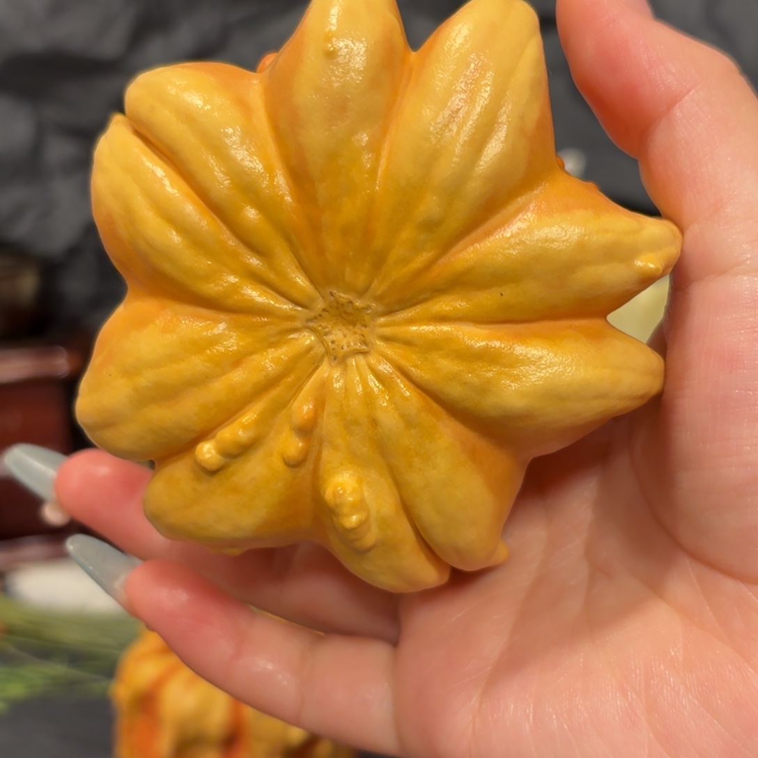 青***果墨西哥葫芦大大花