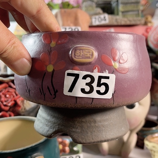 红陶多肉植物花盆