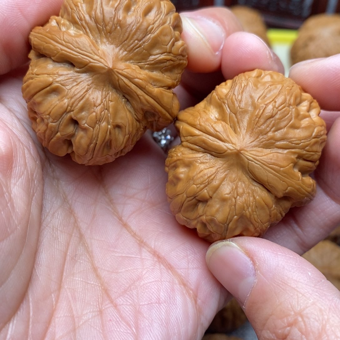 文玩核桃把件七**宠元宝42尺