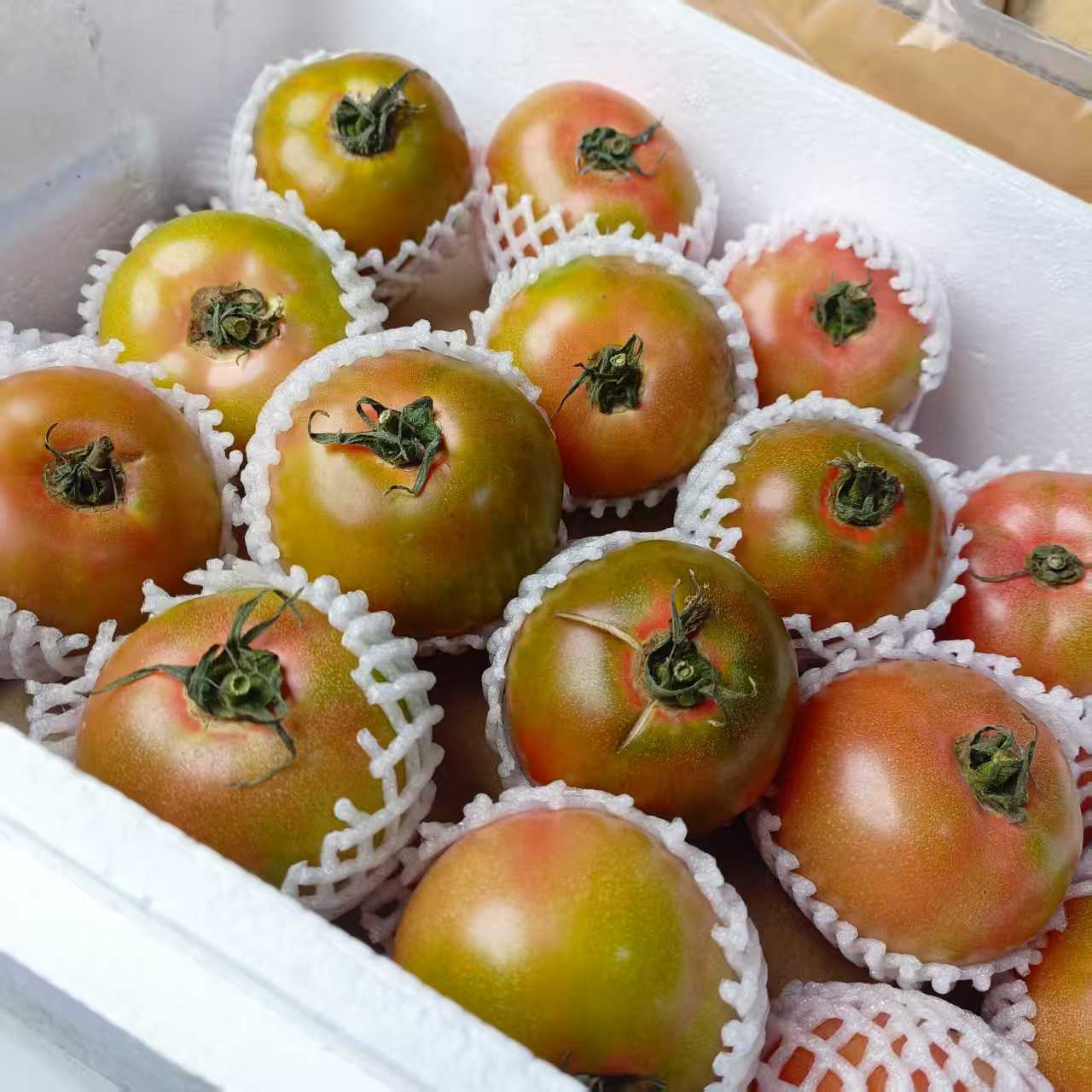 草莓柿子（惠鲜水果）辽宁省