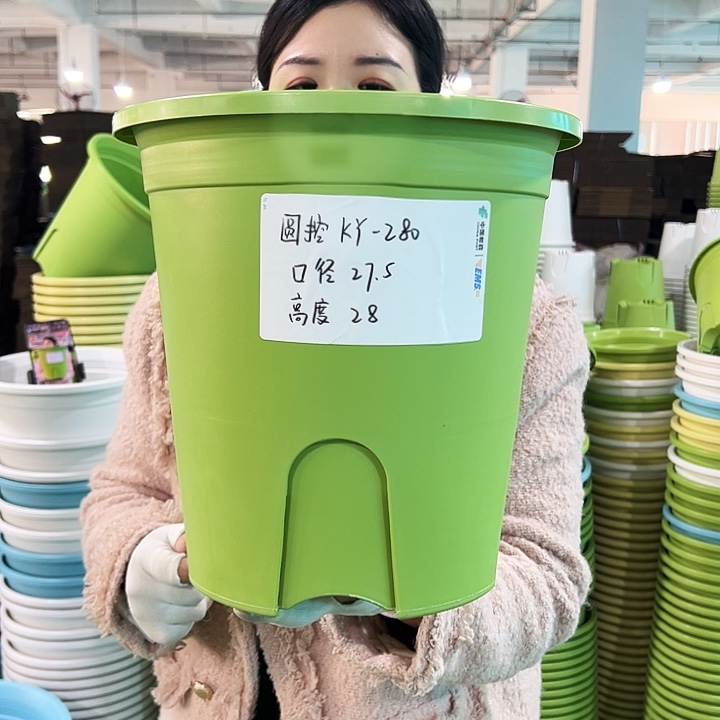 正品圆控口27.5高28果绿无托5只