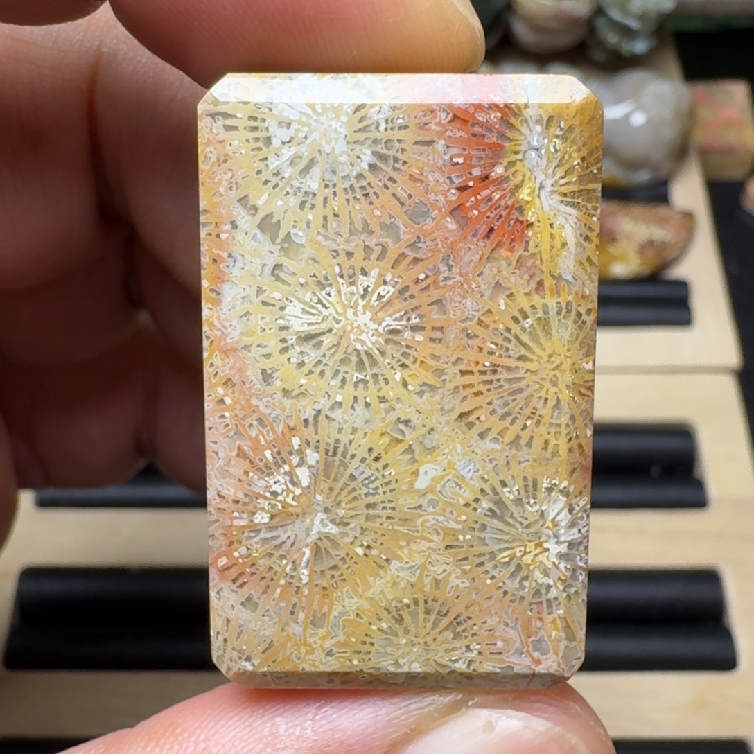 硅化玉未镶嵌纯天然色有机玉石保真色