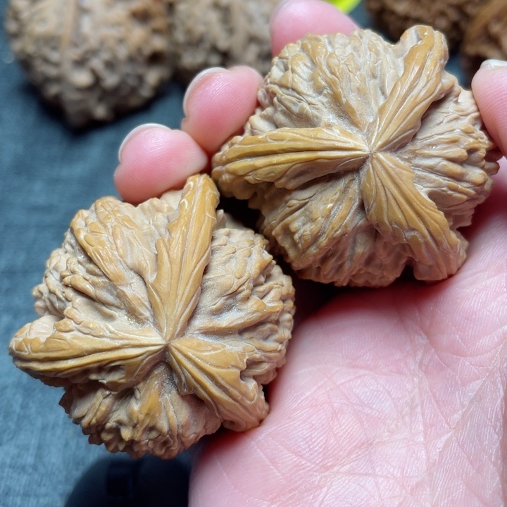 工艺三棱白狮子三棱