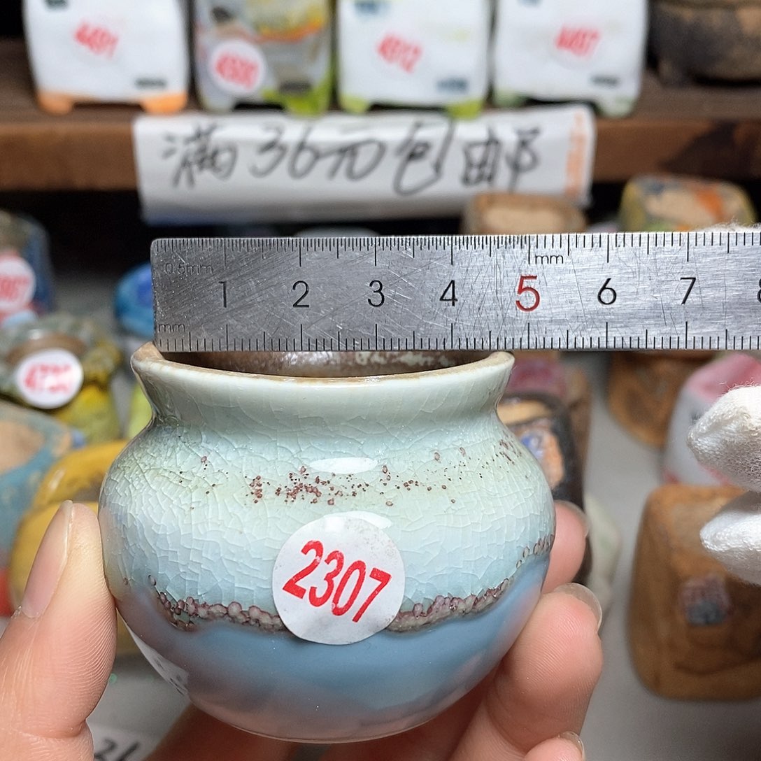 红陶拍5送一个小