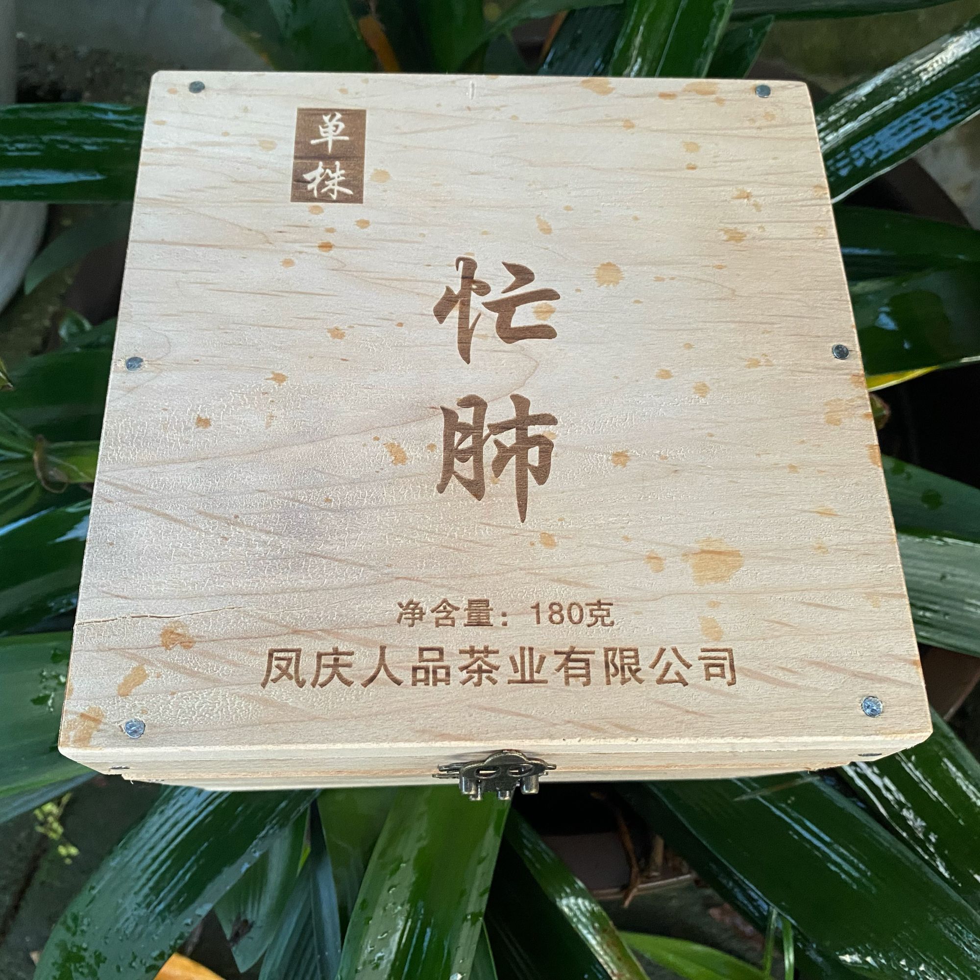 忙肺2025年云南大叶种古树晒青绿茶