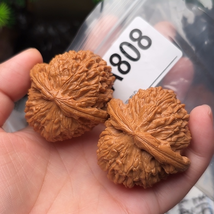 桃核把件核桃白狮子44