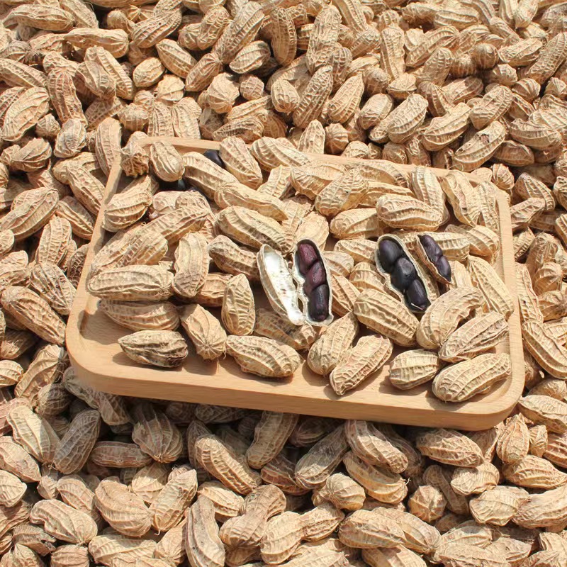 【阿宇推荐】----黑花生