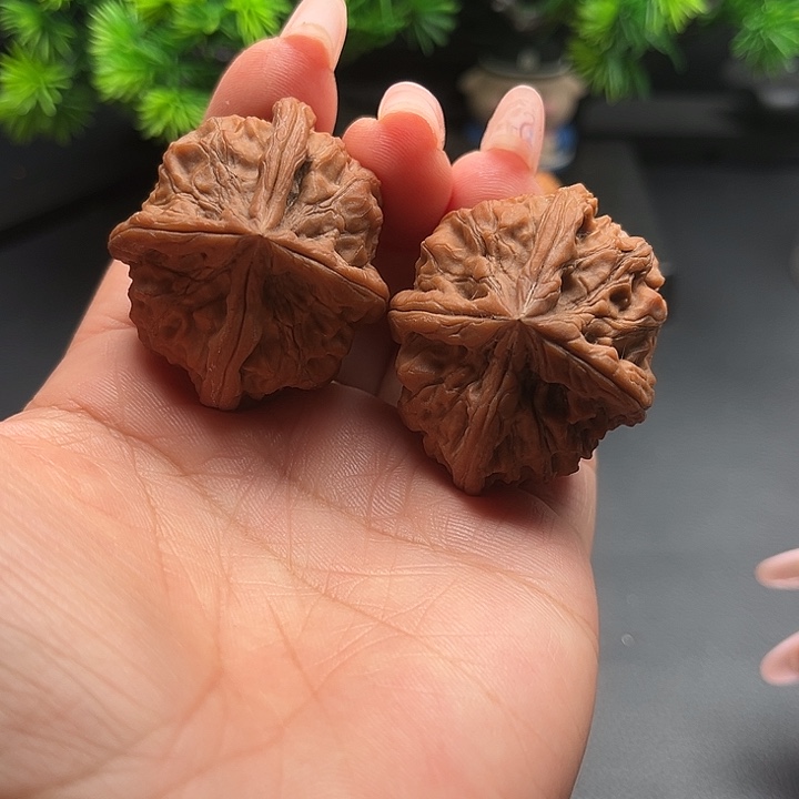 核桃43玉玺四棱全品