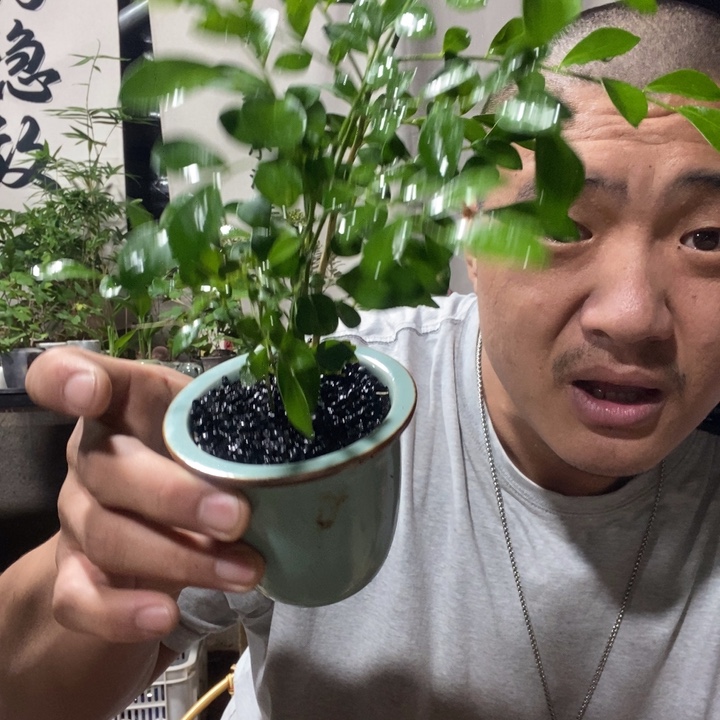无花朵退款拉黑拉黑144