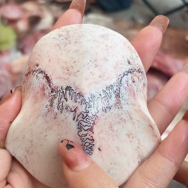 养殖鹿骨三界牌子