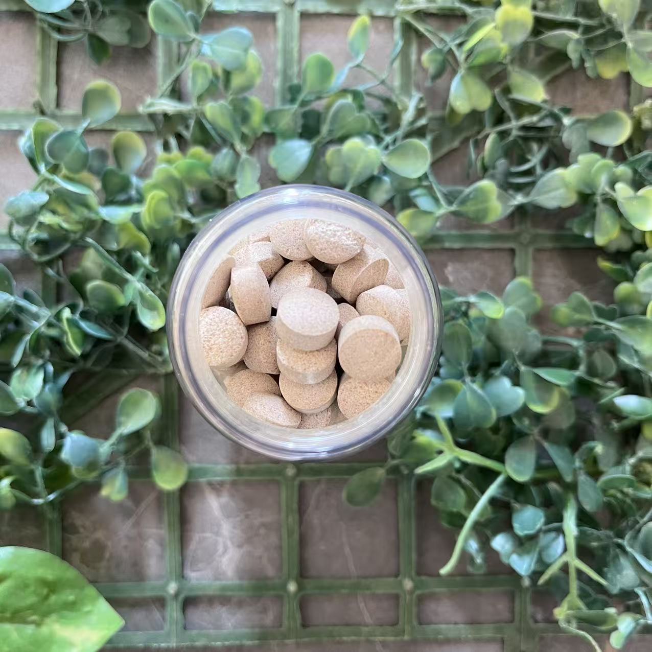 雨腾古茶 无字版 协H 白珍珠“GD”60g/盒（12月23）