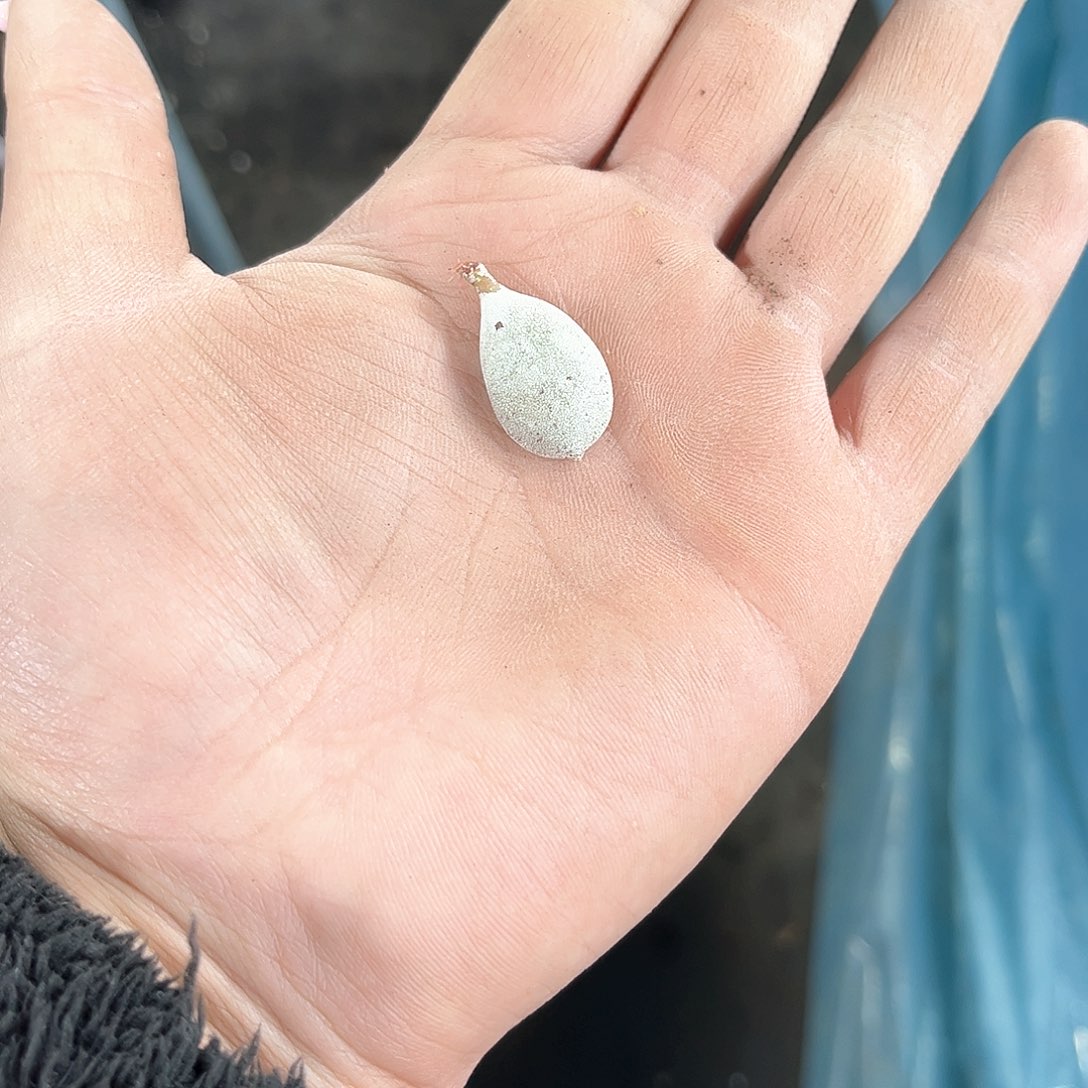 五个人一人一个盆是水台