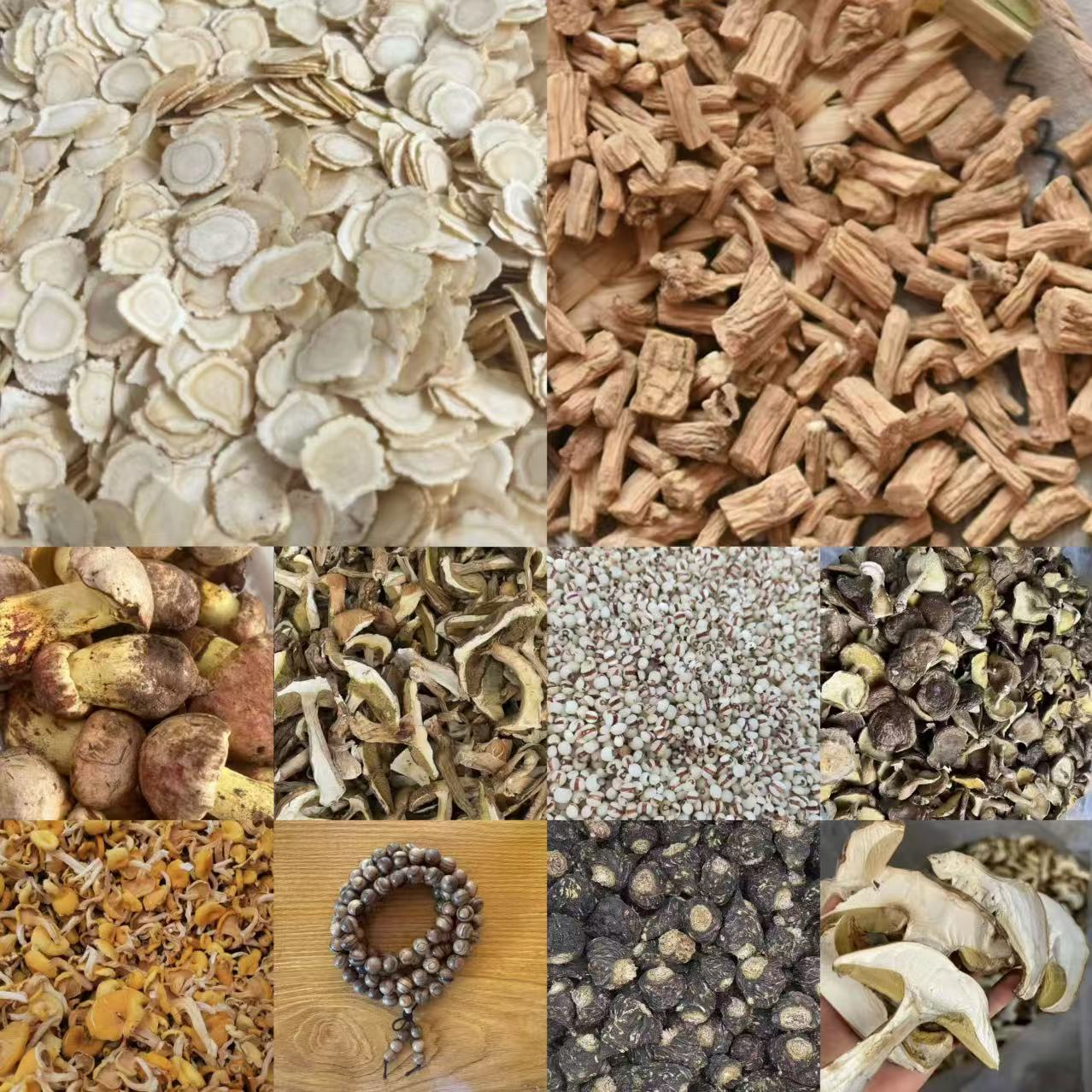 FMY190土特产菌/多样性发货