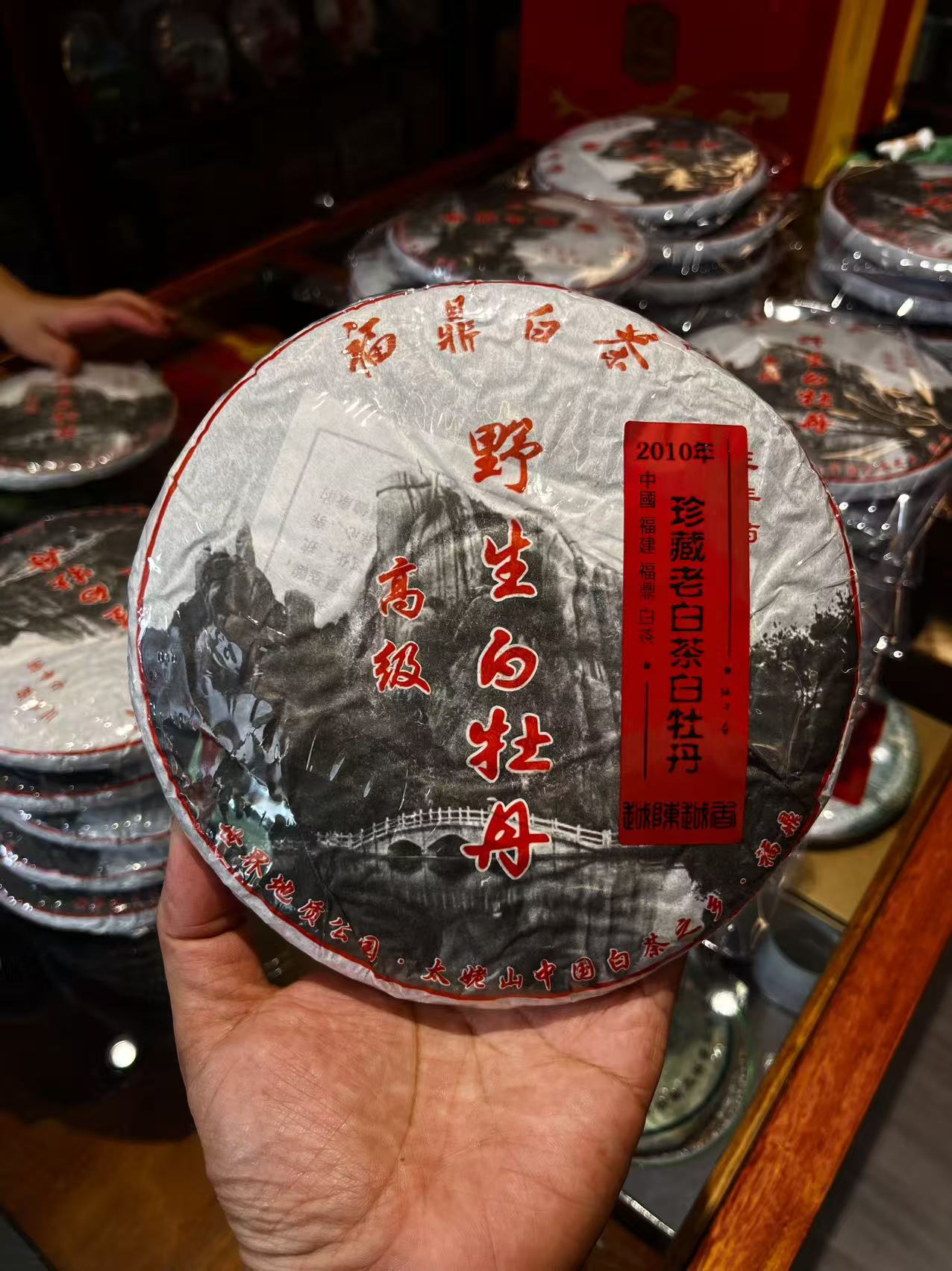 2010福鼎白茶·野生白牡丹