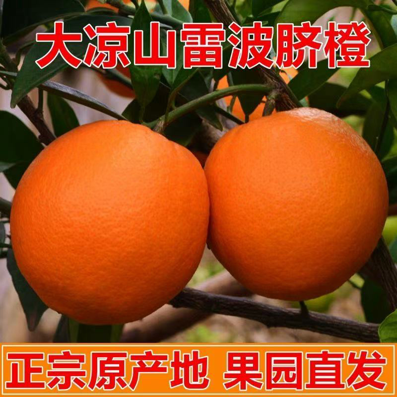 雷波脐橙应季孕妇新鲜水果无籽香甜爆汁产地直发果园现摘手剥甜橙
