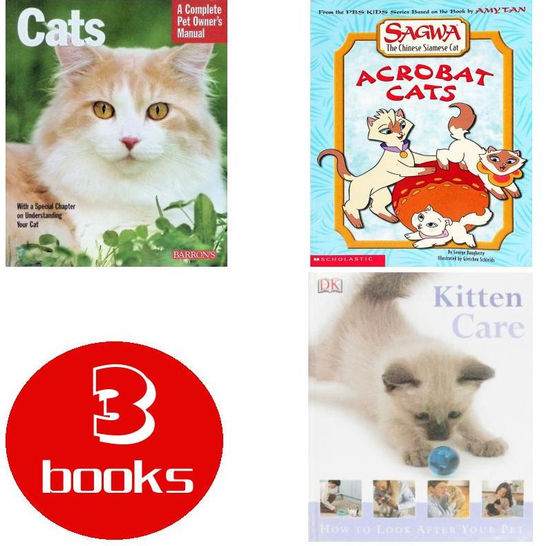 英文原版绘本3本93250710191