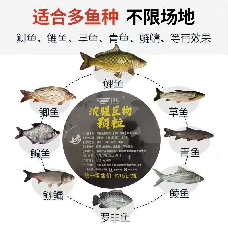 【拍一发二】浓腥巨物蚯蚓颗粒软饵 钓鲫鱼鲤青鳊鲶黄辣丁通用