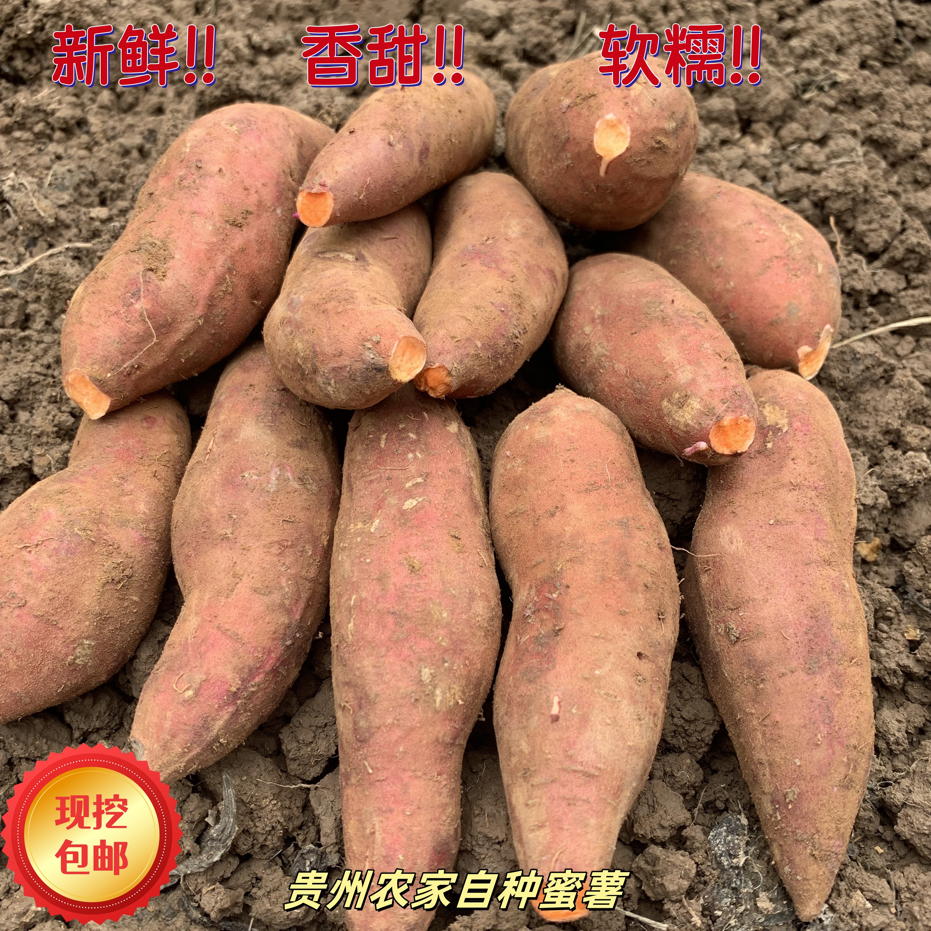 贵州农家自种现挖沙地蜜薯软糯香甜新鲜正宗黄心板栗薯烟薯红薯