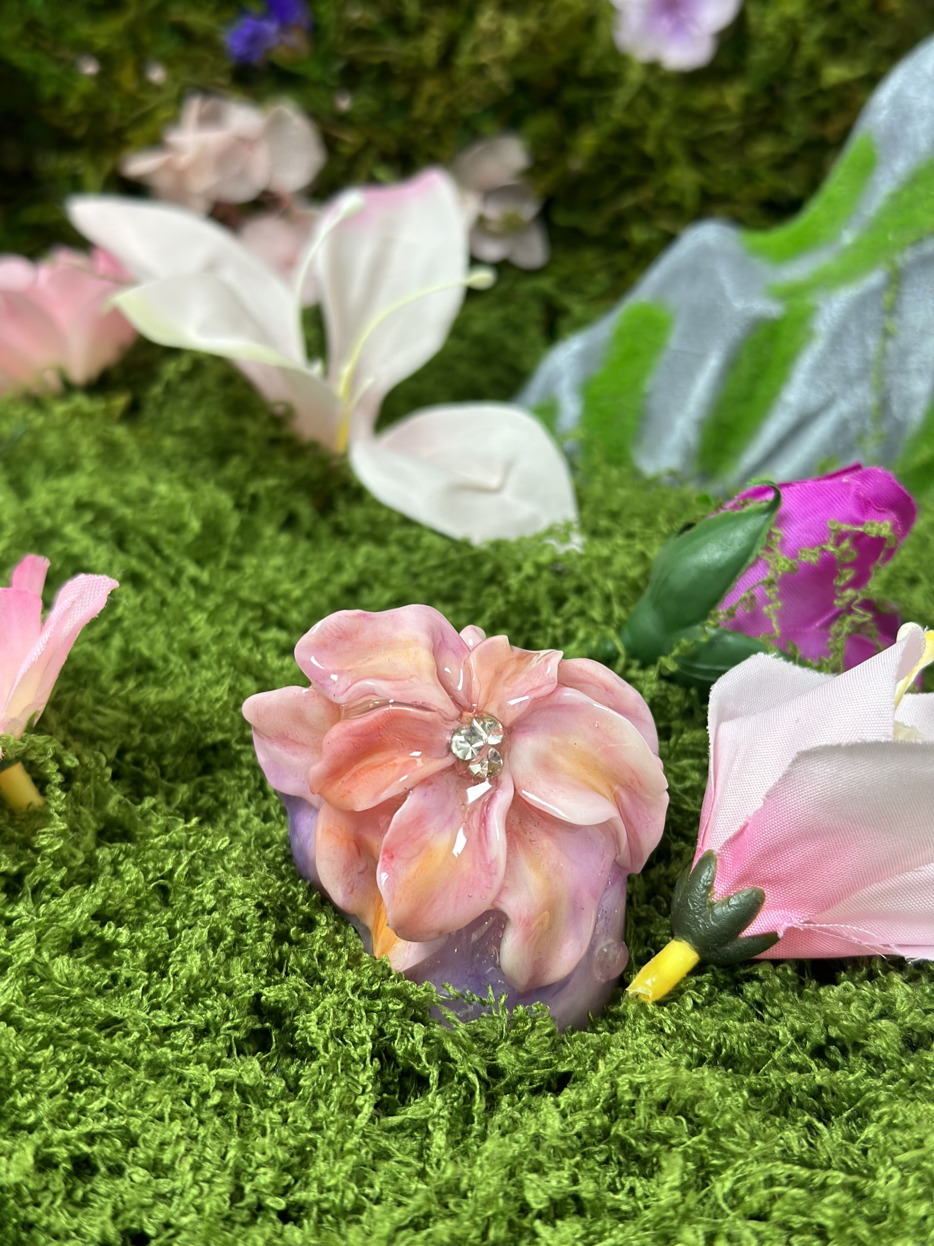 寄居蟹全新周边用品