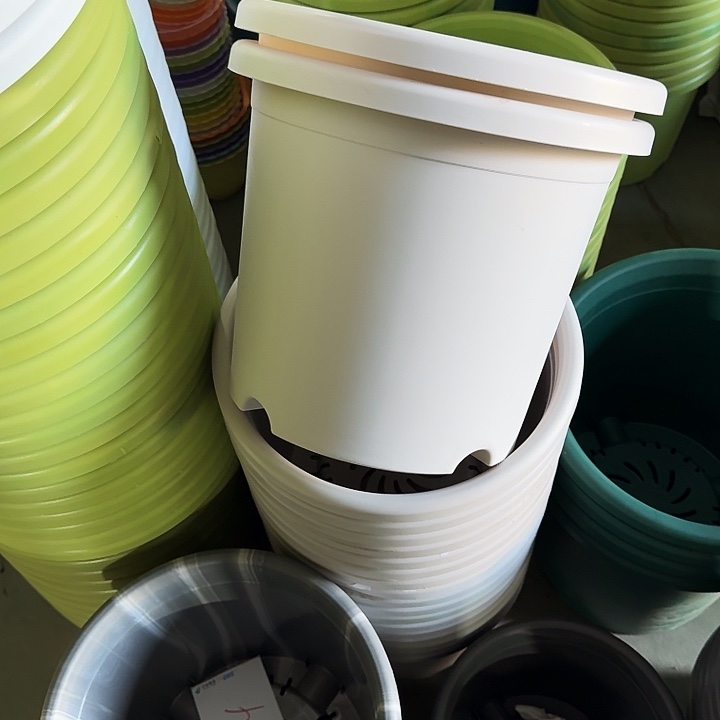 四季5#口径29灰白10个无托