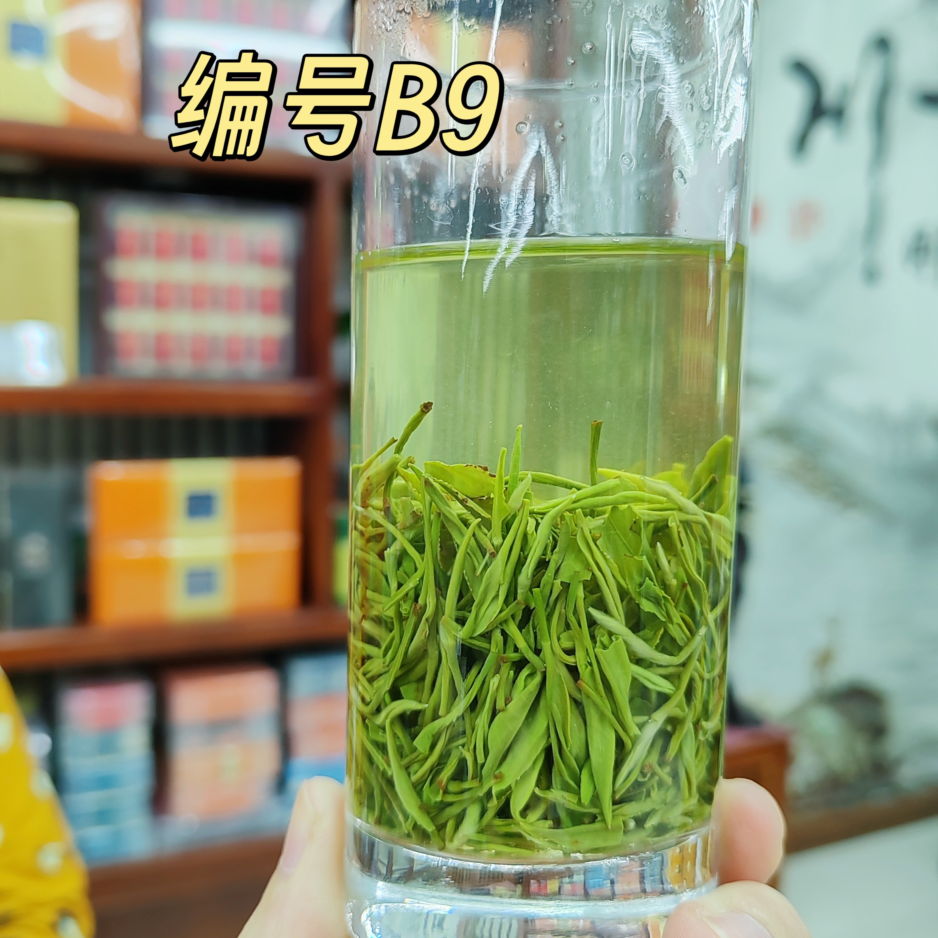 （9.12上新）增泰2025年湖北襄阳保康绿茶晚秋毛尖（B9），85-159