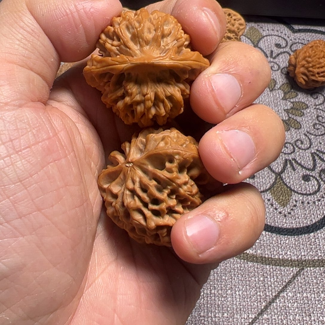 你***生吊坠龙脊菩提秦闷