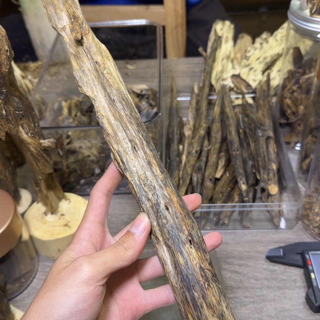 线香绿奇虫漏原料发一份