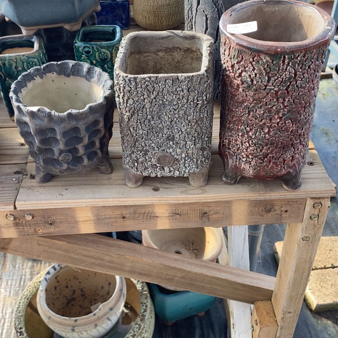 M***y80号多肉盆三个组合