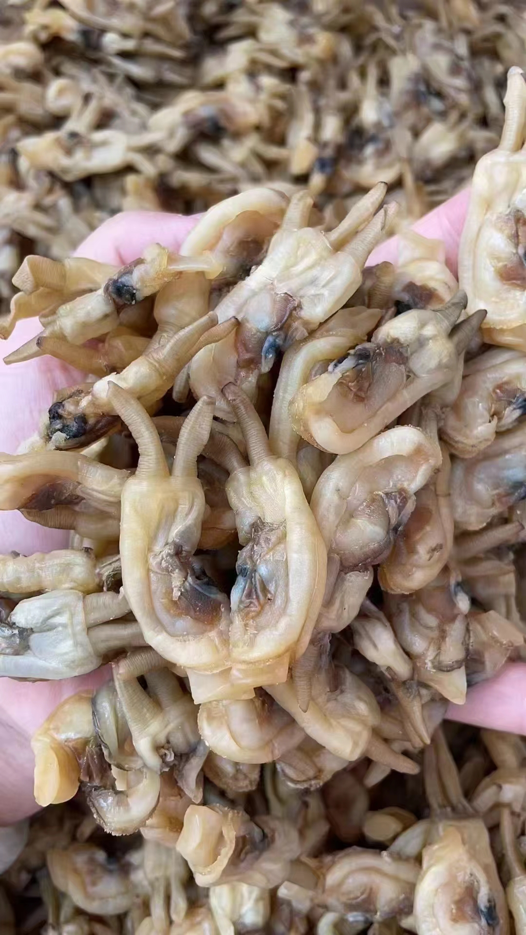 静妹店本地大蛏干，口感鲜甜，无沙无肚