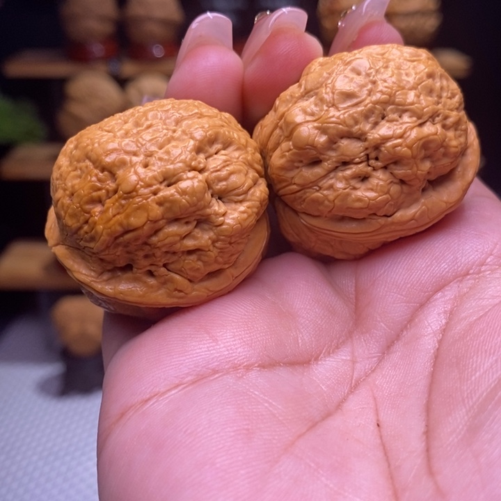 木质类云铁帝王蟾15号38尺