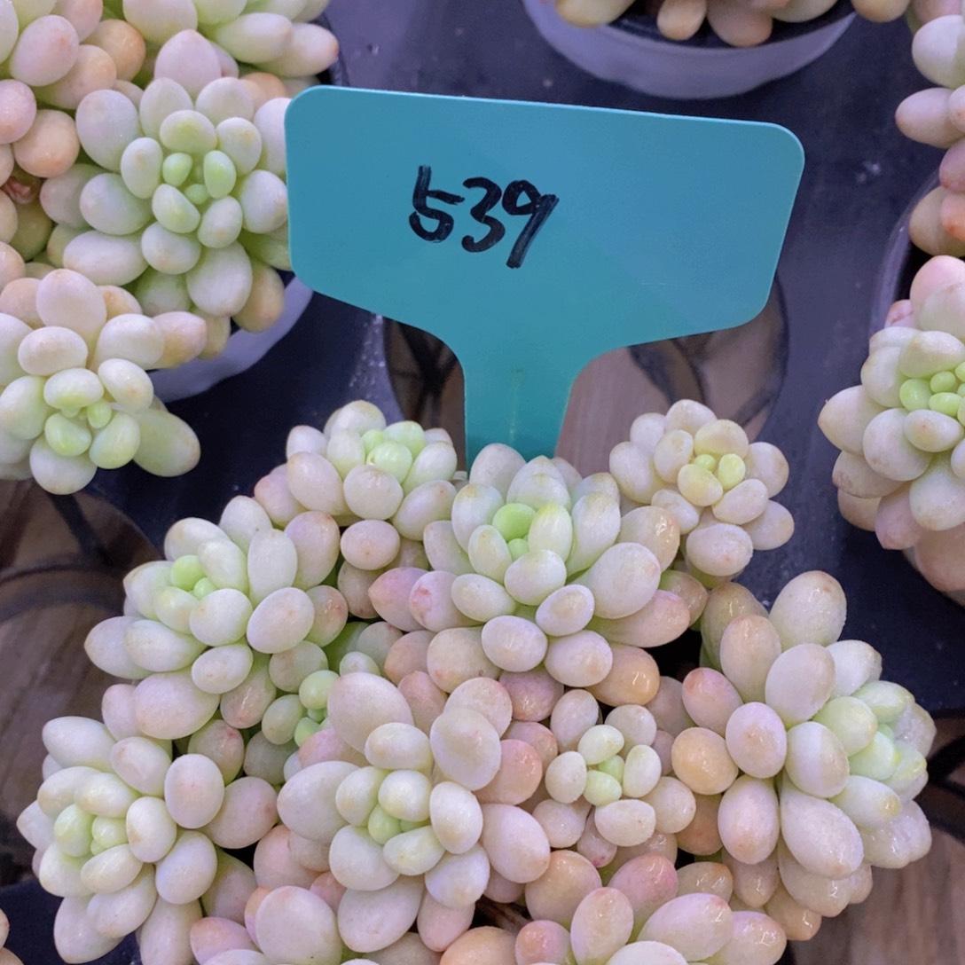 清货专场，满5宋1了