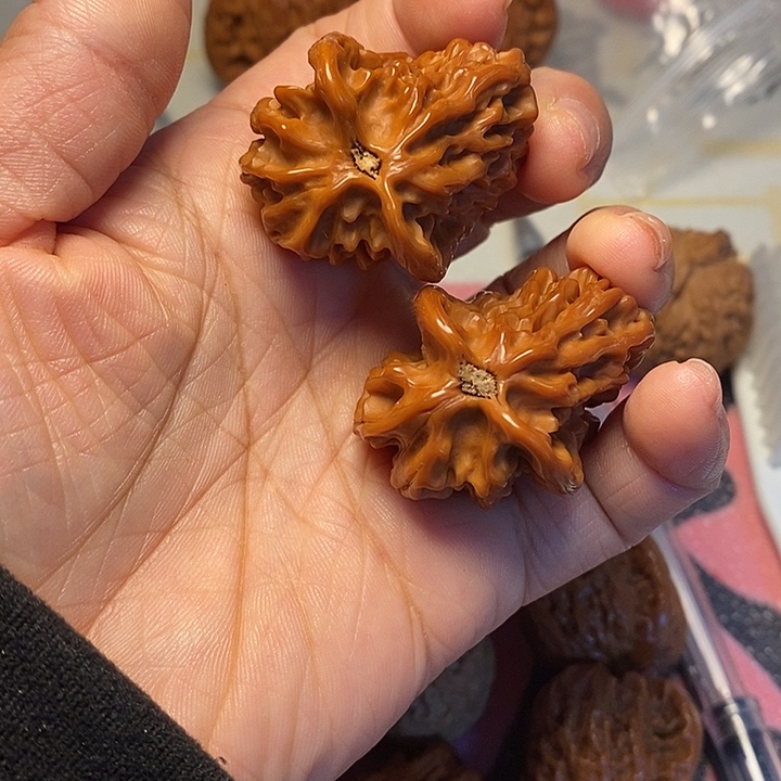 ༺***༻把件文玩核桃小鸟